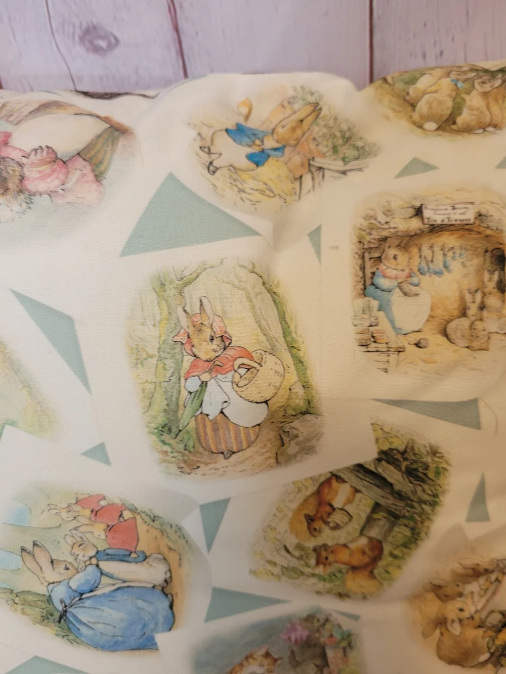 Whimsical Beatrix Potter Embroidered Reading Pillow 15